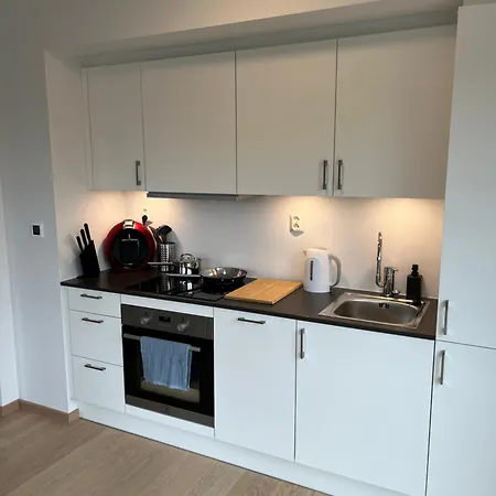 Jessheim 公寓 杰西姆